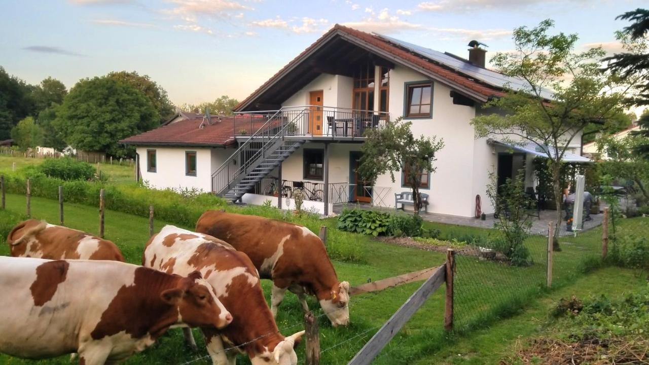 Exclusiv - Ferienwohnung Hinterreiter Ainring Esterno foto